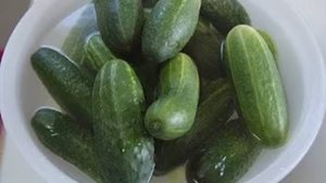 Малосольные огурцы. Маринкины творинки. Всем МИРА и Добра!