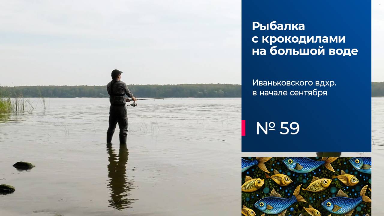 59 / Рыбалка с донками на большой воде / Иваньковское водохранилище / Сентябрь