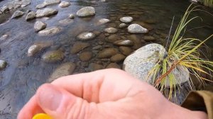 NYMPHING FOR NEW ZEALND TROUT