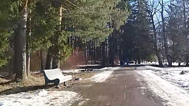 Павловский парк в видео смотреть онлайн