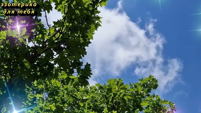 17 мая народный праздник день Пелагеи заступницы день баклушников. Что нельзя делать. Приметы