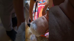 Обзор покупки - Sup board Koi