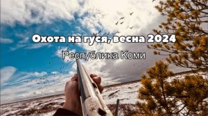 ОХОТА НА ГУСЯ в республике Коми, весна 2024. Осторожно: Присутствуют маты!