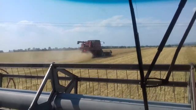 Кейс 2366 смотреть онлайн