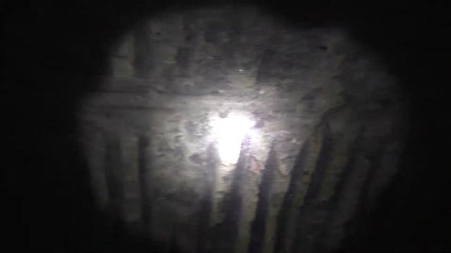 Лес 20 (Сутьково). Бетонный блиндаж (235)
