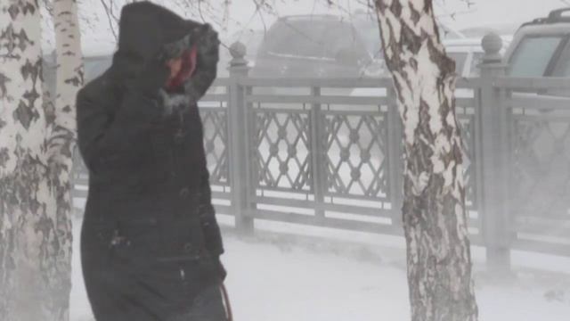 Руслан Кирамутдинов. Кучмэ кошлар.