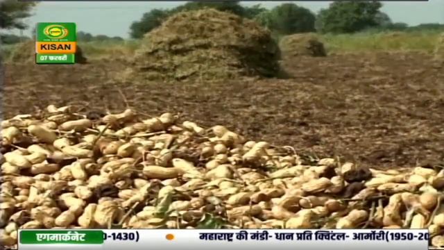 Latest Mandi Bhav on DD Kisan's LIVE program 'MANDI KHABAR' | Feb 7, 2020 смотреть онлайн