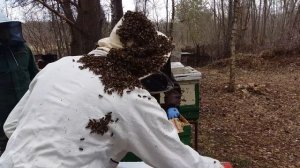 Первое знакомство