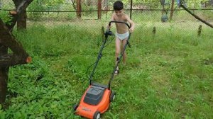 Дачная электрогазонокосилка.