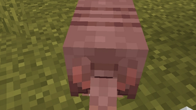 Lp.Тайные Земли#5.Те самые ботинки