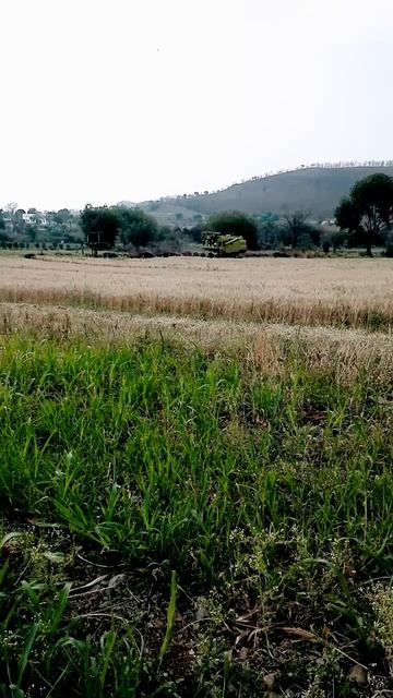 combine harvester gun short #shortfeed #viralvideo #trading смотреть онлайн