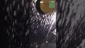 Exeed LX Антикор