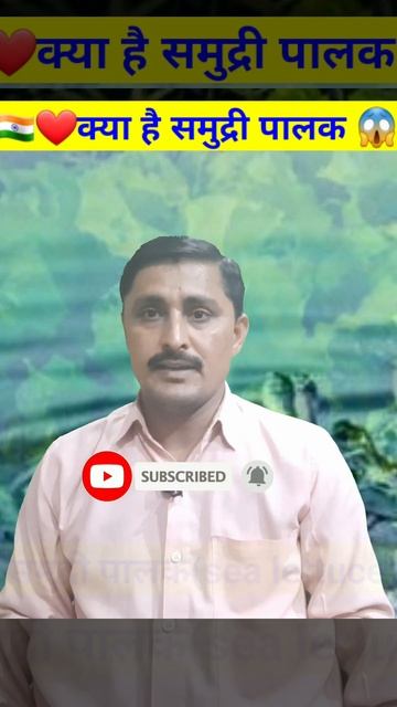 🇮🇳❤️क्या है समुद्री पालक😱Sea Lettuce: Ulva #shorts #youtubeshorts #shortvideo #trending #viral смотреть онлайн