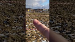 Дворцы, Калужская область