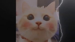 И Я ТАКОЙ ПАУ ПАУ ПАУ 1 ЧАС