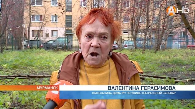 Деревья выросли вместе с нами! «Пилить или не пилить?», - вот в чём вопрос