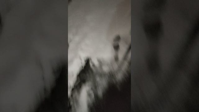 Video_20250204_235819