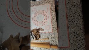 Имбирные пряники. Часть 2. Выпекаем.