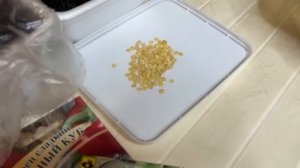 Всего 2 капли, и старые семена проклюнутся за 1 день, раскрываю народный копеечный способ