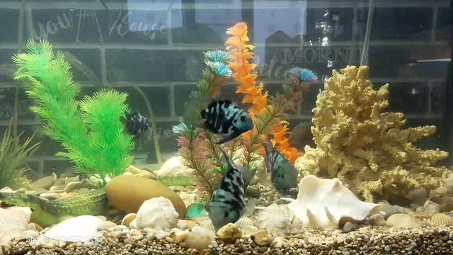 Рыбы✌️😉👍