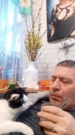 как по волшебству #😂# обовсемнасвете# рекомендации # тренды #