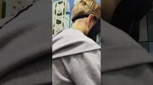 Питомец камень!? как ухаживать за камнем?