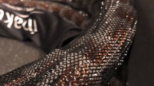 Leben CS-600X / Harbeth Super HL5 Plus Tiger Ebony / Inakustik Referenz LS-2404 Air