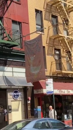 😎👀 Peking Duck house 🏠 in Chinatown manhattan #shorts #chinesefood