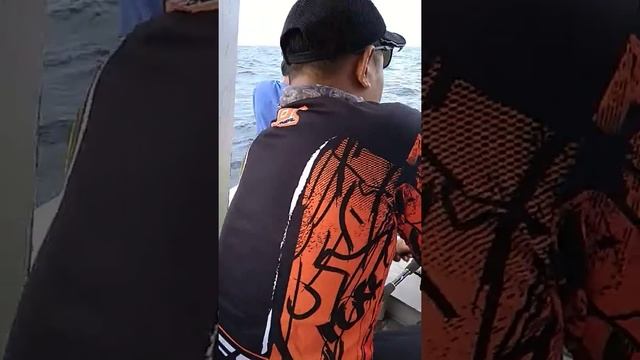 Mancing ikan predator Baracuda смотреть онлайн