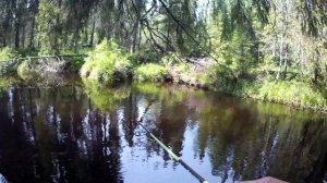 Хариус: мормышинг vs блесна