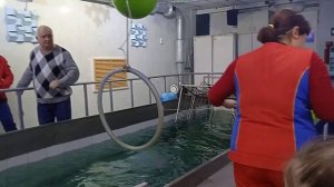 Нерпинарий Иркутск