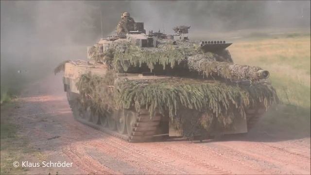 леопард демонстрация