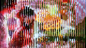 Редкие встречи