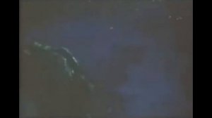 Одно и то же. Дельфин. ©