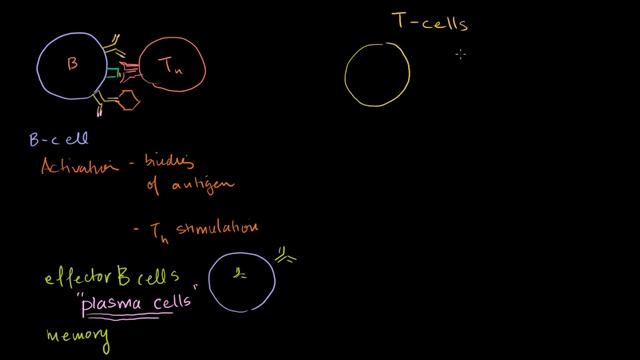 43 概述B细胞, CD4 T细胞和CD8 T细胞 NCLEX RN Khan Academy смотреть онлайн