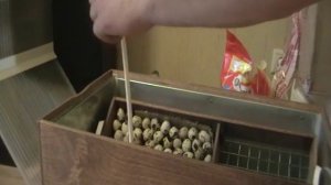 инкубатор блиц-72