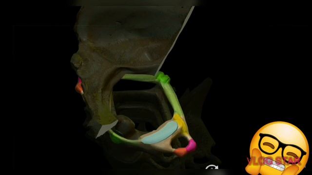 omurga anatomisi 2 bölüm/ vertebrae cervikales смотреть онлайн