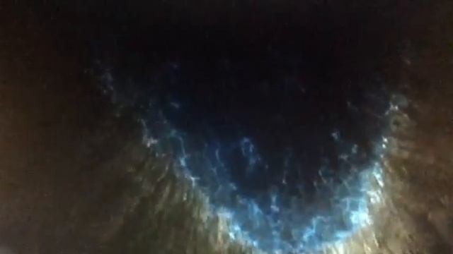 finding nemo marlin and dory in a whale смотреть онлайн