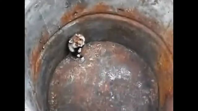 10 смешных видео роликов здесь=))