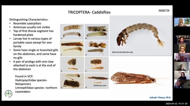 Benthic MacroInvertebrates in VCP смотреть онлайн