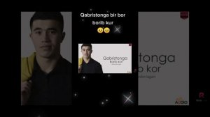 Yerdan uzilsa oyog’ing. Qabrisonga borib tur
