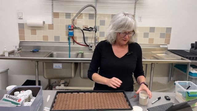 Hydroponic Tips and tricks for seeding for a farm market.