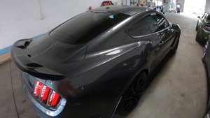 HELLCAT REDEYE VS MUSTANG GT350 SHELBY