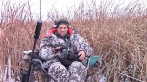 Охота на приваде на шакала и лису 2