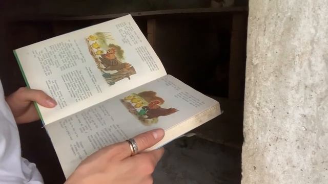 КУРИНОЕ АКУШЕРСТВО смотреть онлайн