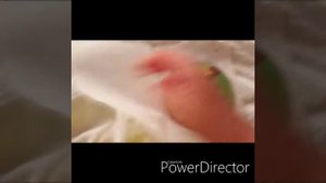 Maya cp digital logo