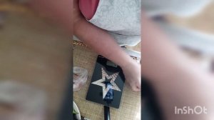 Перепела породы Радонежские выросли.
