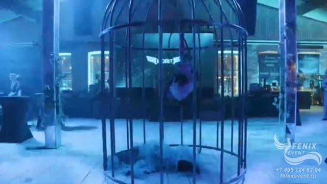 Заказать акробатическое шоу на праздник и свадьбу в Москве -  яркое шоу Райская птица в клетке