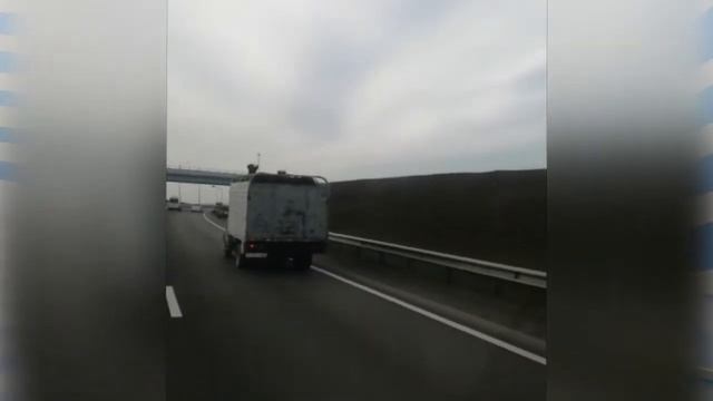 Анапские полицейские раскрыли кражу коней смотреть онлайн