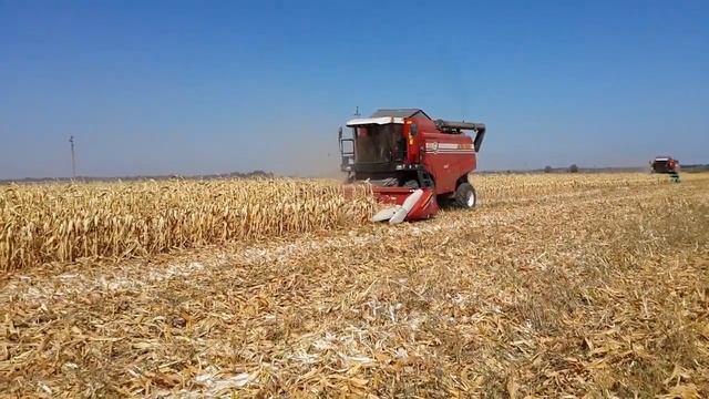 Кукурузная жатка CornMaster 8